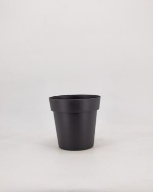 Vaso tondo - immagine 4
