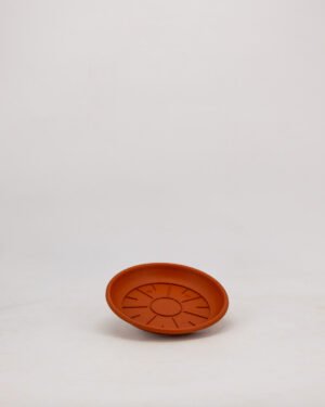 Sottovaso - immagine 2