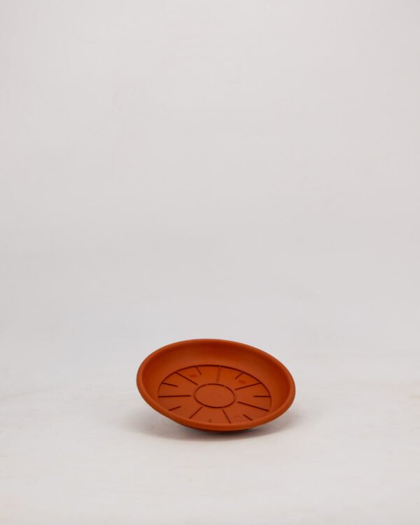 Sottovaso - immagine 2