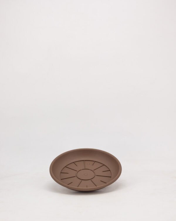 Sottovaso - immagine 1
