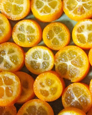 Kumquat Obovata - immagine 2