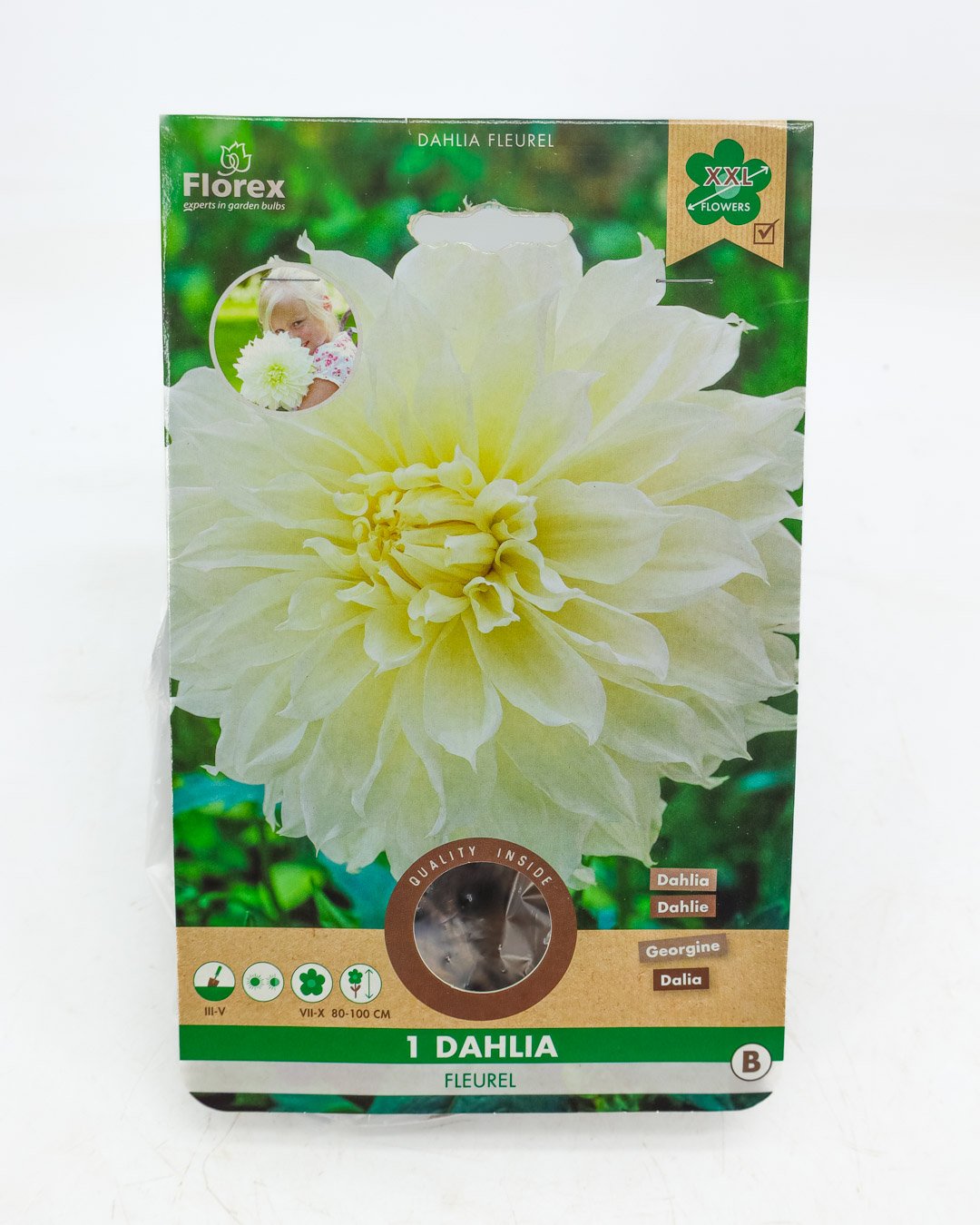 vivai-brugna-1331 Dahlia 'Fleurel' - immagine 1