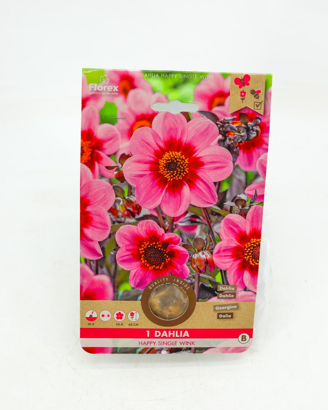 vivai-brugna-1360 Dahlia 'Happy Single Wink' - immagine 1
