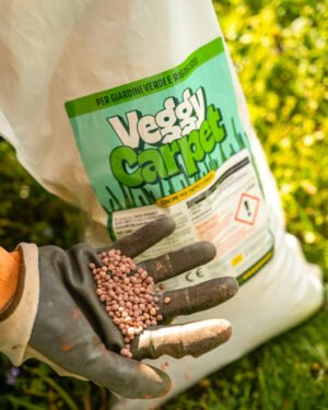 Veggy Carpet - immagine 2