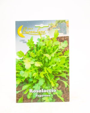 Rosolaccio