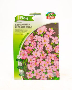 Gypsophila elegans rosa