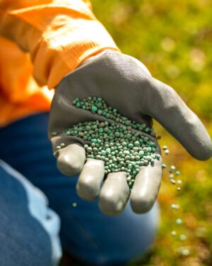Veggy Prime - immagine 2