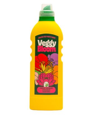Veggy Bloom 'Piante Fiorite'