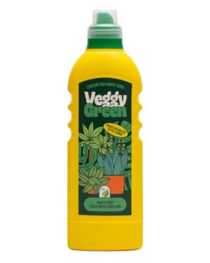 Veggy Green 'Piante Verdi'
